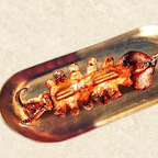 Best Grilled Giant Squid Skewer in Ellicott City, MD